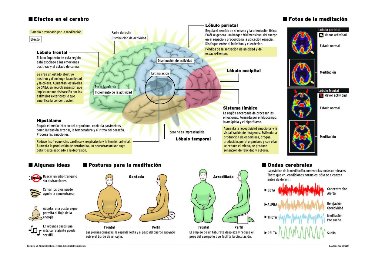 Meditacion actividad cerebral