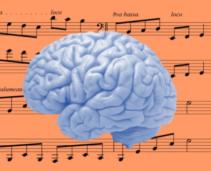 cerebro musical
