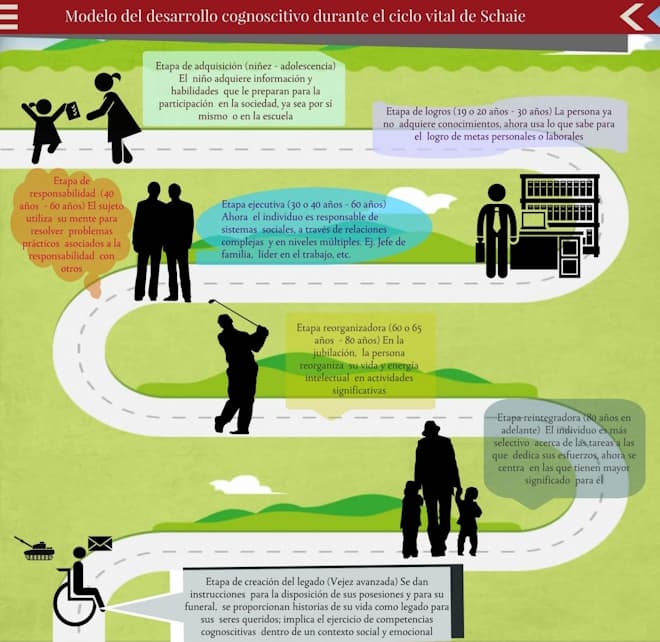 infografía: Modelo del Ciclo Vital del Desarrollo Cognoscitivo de Schaie